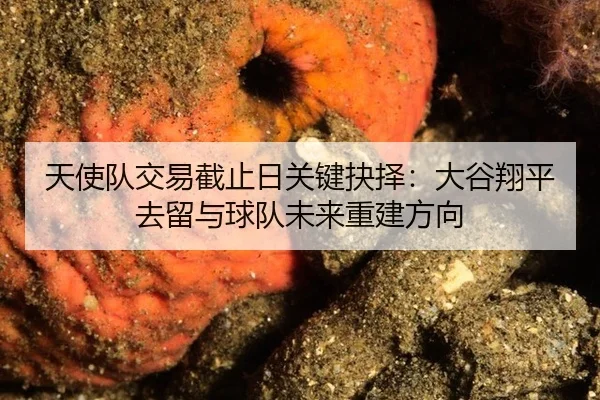 天使队交易截止日关键抉择：大谷翔平去留与球队未来重建方向