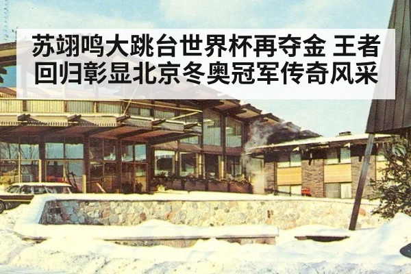 苏翊鸣大跳台世界杯再夺金 王者回归彰显北京冬奥冠军传奇风采